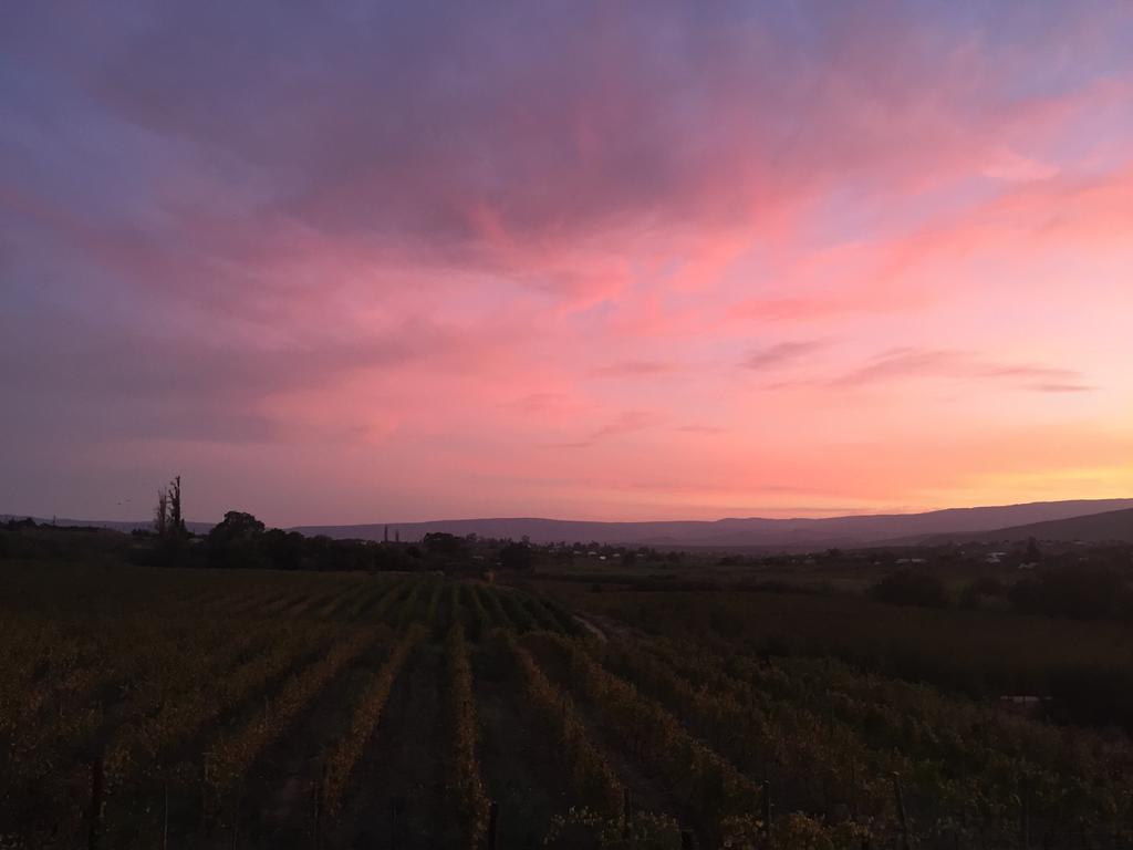 Calitzdorp Country House Екстер'єр фото